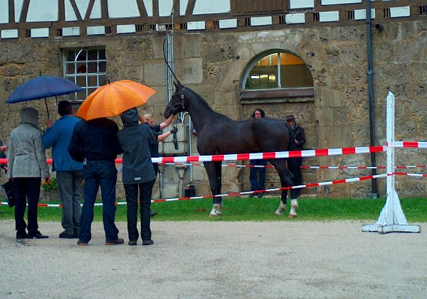 Musterung in Marbach